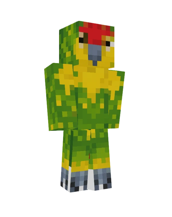 Kiwi skin, front view