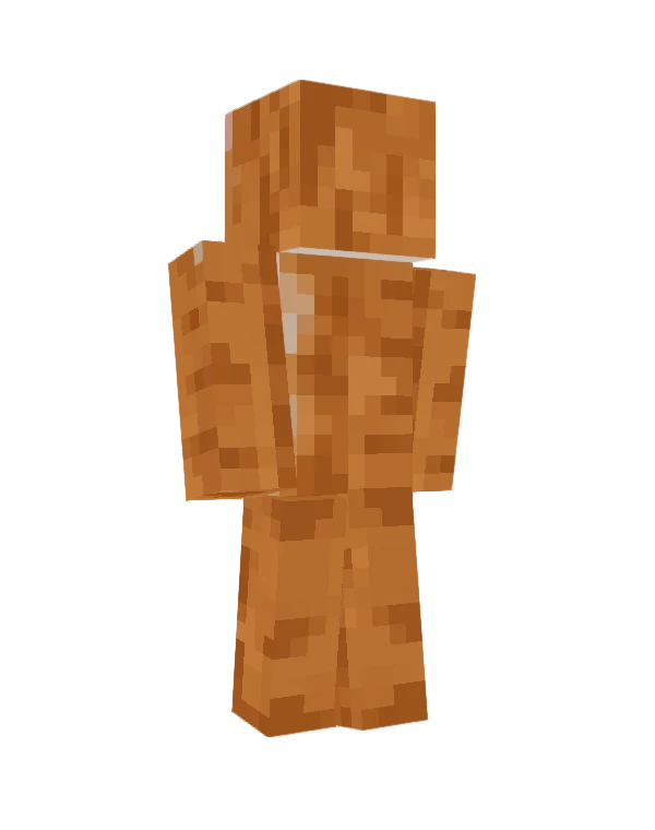 Mango skin, back view