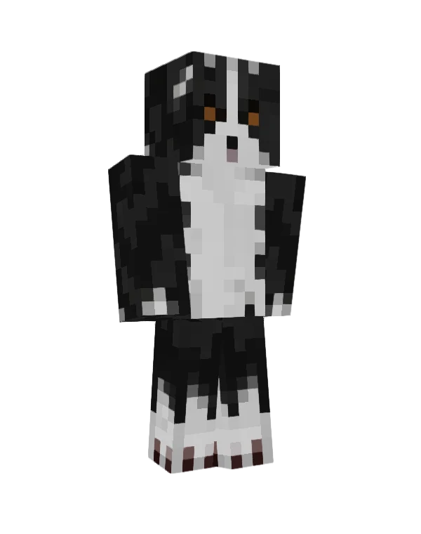 Pepper skin, front view